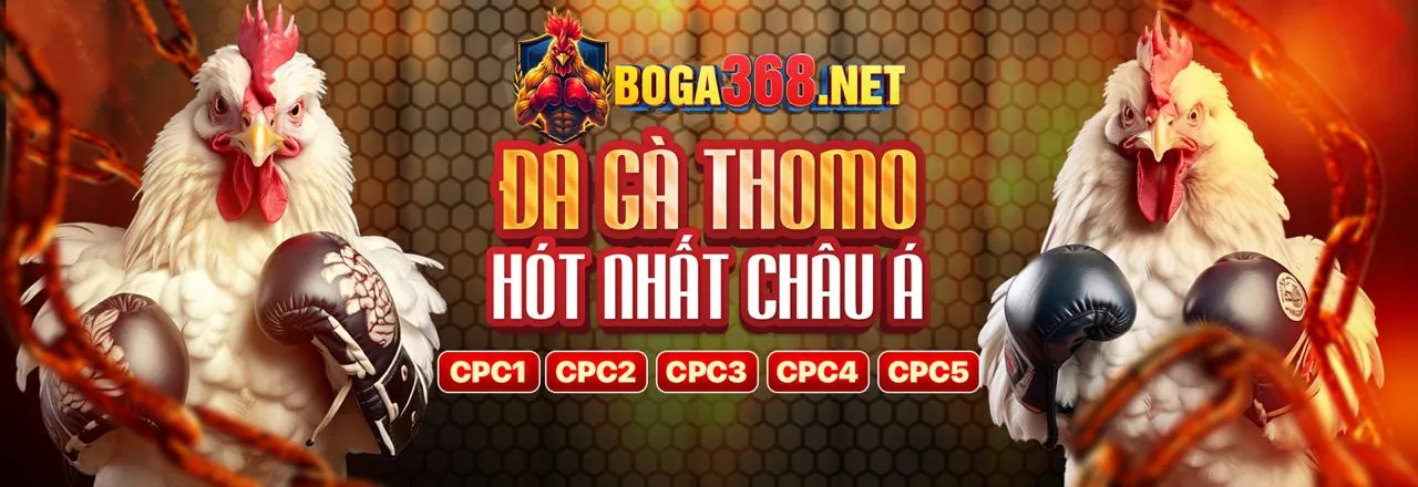 Đá Gà Trực Tuyến Đỉnh Cao tại banca28 đá gà
