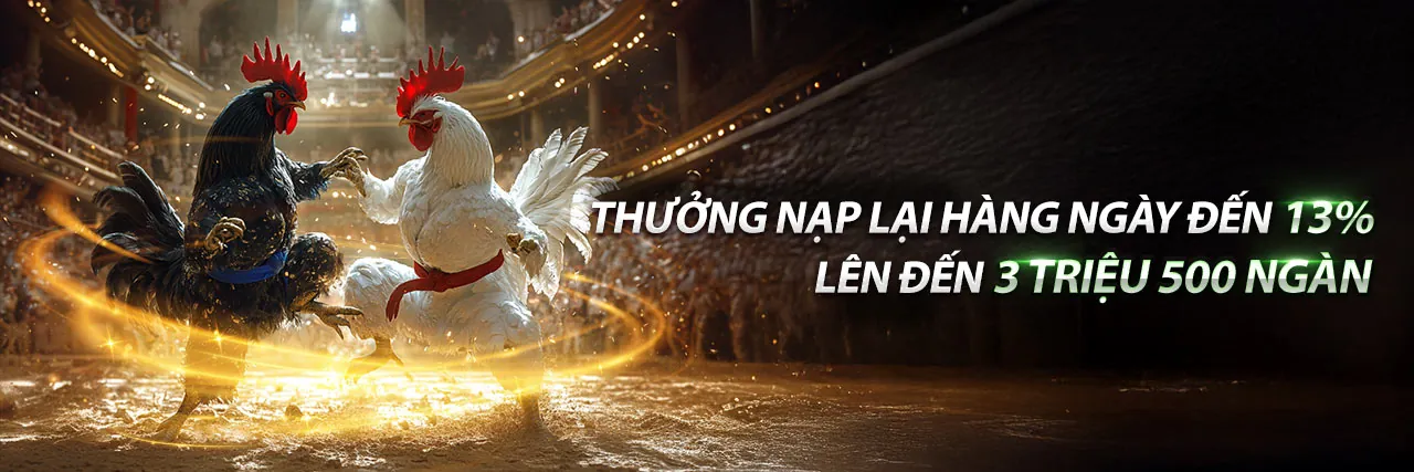 banca28 Đá Gà Slot Games Khuyến Mãi Hấp Dẫn